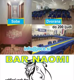 Dostava euro palet po sloveniji