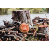 GOZDARSTVO IN ARBORISTIKA EM, ENCI MIRAN S.P.