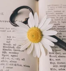 Kvalitetno prevajanje izola - prepričajte se tudi sami