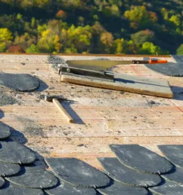 Menjava strehe notranjska