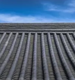 Menjava strehe osrednja ribnica