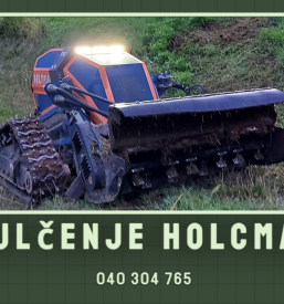 Rok holcman s p