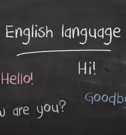 Instrukcije tujih jezikov dolenjska