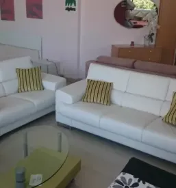 Salon pohistva dolenjska