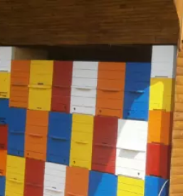 Sok rdece pese koper