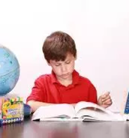 Instrukcije tujih jezikov novo mesto