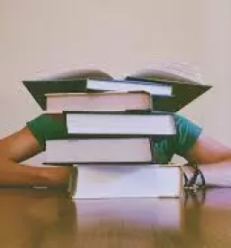 Instrukcije tujih jezikov novo mesto