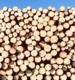 Odvoz gradbenega materiala slovenija