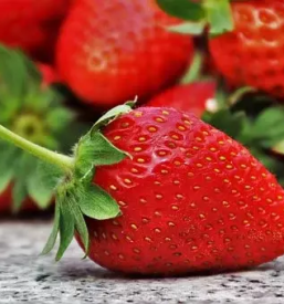 Prodaja domacega sadja pomurska