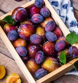 Prodaja domacega sadja pomurska