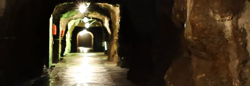 Gospodarska razstreliva Slovenija