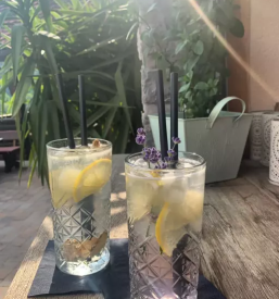 Gostilna z vrtom in otroskimi igrali poljanska dolina