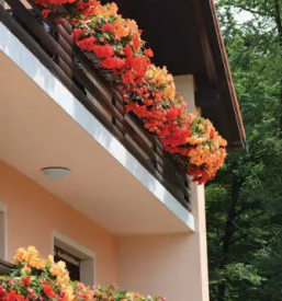 Izvedba balkonskih zasaditev slovenija