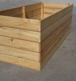 Sibirski macesen v sloveniji