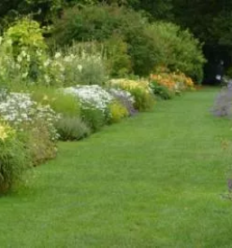 Urbani vrtovi Slovenija