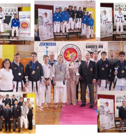 Karate klub domzale