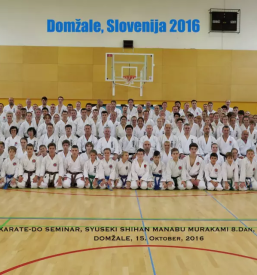 Karate klub domzale