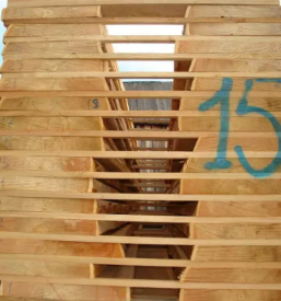 Kvaliteten sibirski macesen slovenija