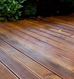 Kvaliteten sibirski macesen slovenija