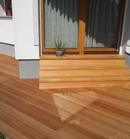 Kvaliteten sibirski macesen slovenija