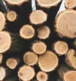 Posek in spravilo lesa slovenija