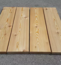 Sibirski macesen v sloveniji