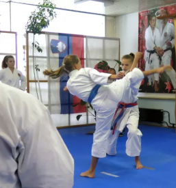 Sola karateja domzale