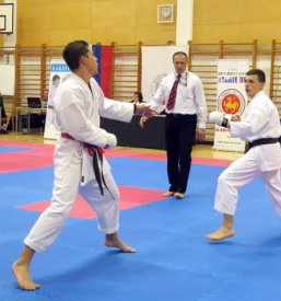 Sola karateja domzale