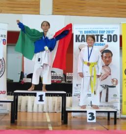 Sola karateja domzale