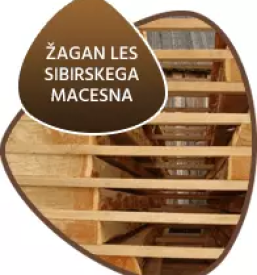 Terase iz sibirskega macesna slovenija