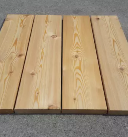 Ugoden sibirski macesen slovenija