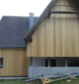 Ugoden sibirski macesen slovenija