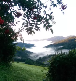 Budget bed breakfast ljubljana