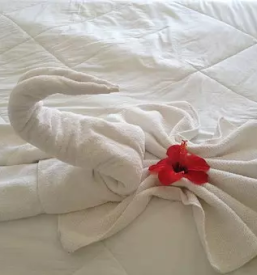 Budget bed breakfast ljubljana