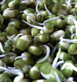 Domaci debeli fizol keber in cesnjevec pomurje