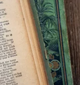 Instrukcije nemscine koper primorska