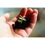 KMETIJA HOMAR, PRIMOŽ HOMAR S.P.