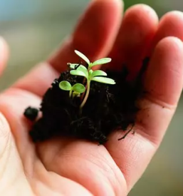 Kompostarna tisoc cvetov slovenija