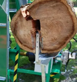 Kvalitetni cirkularji za les slovenija