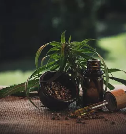 Kvalitetno konopljino olje pomurje