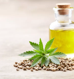 Kvalitetno konopljino olje prekmurje