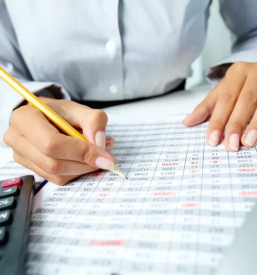 Racunovodski in knjigovodski servis nova gorica goriska