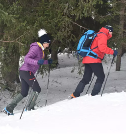 Ugodne verige za kmetijstvo