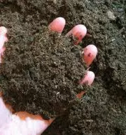 Zemlja za visoke grede in vrtove