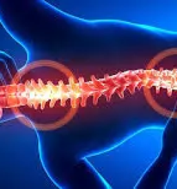 Bolecine v krizu ljubljana