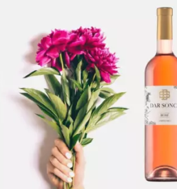 Prodaja vin slovenija