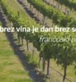 Prodaja vin slovenija