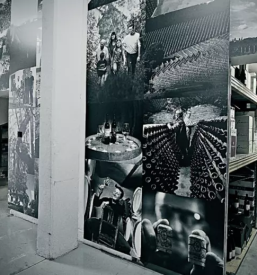 Spletna vinoteka slovenija