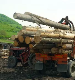 Ugodna prodaja lesa dolenjska