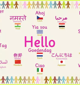 Ugodni tecaji italijanscine ljubljana